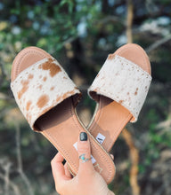 Load image into Gallery viewer, Palomino Flats