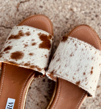 Load image into Gallery viewer, Palomino Flats